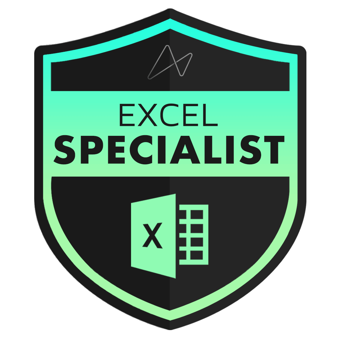 Excel Specialist