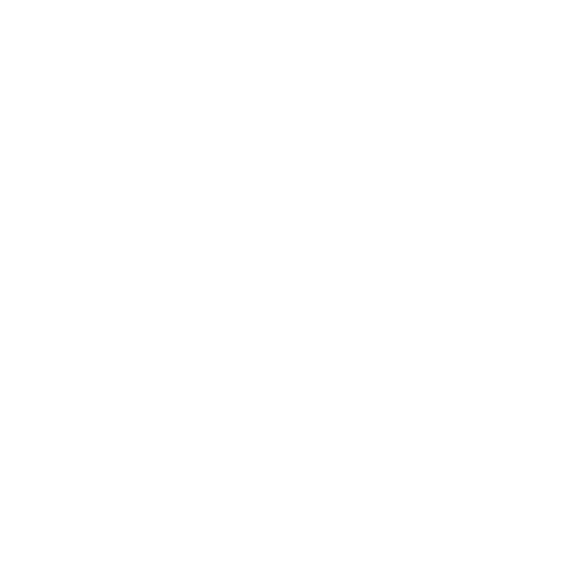 Payment Method – PayPal