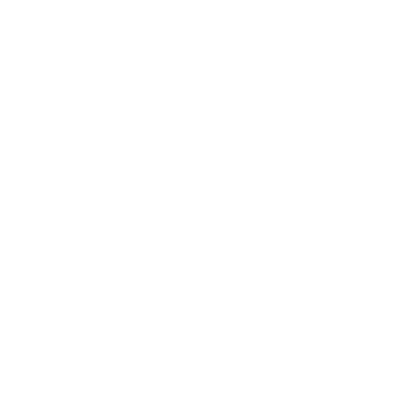 Payment Method – Visa