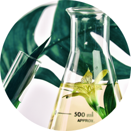 Ingredient Transparency