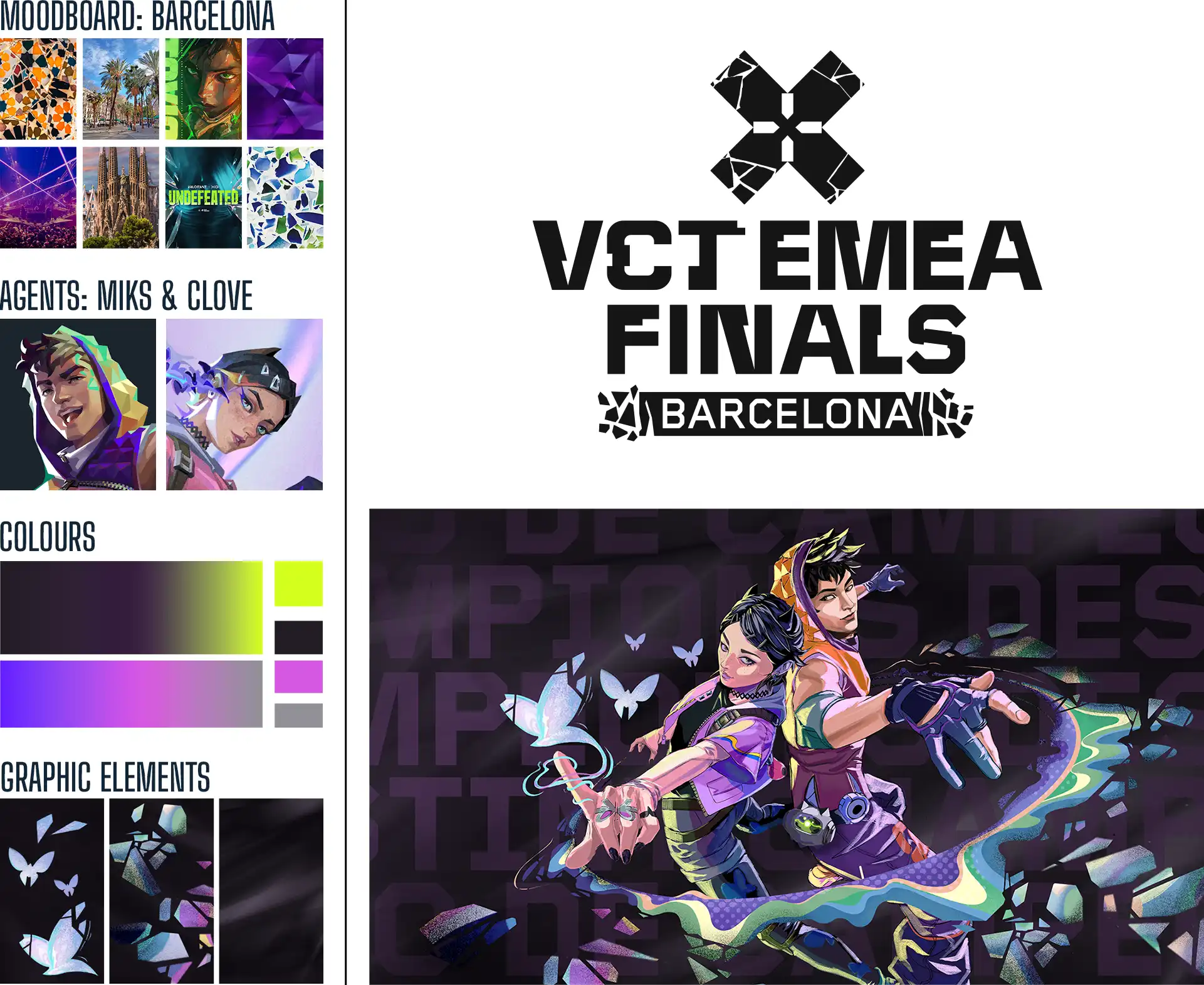 BIBORG RIOT VCT FINALS VISUALS COMPOSITION
