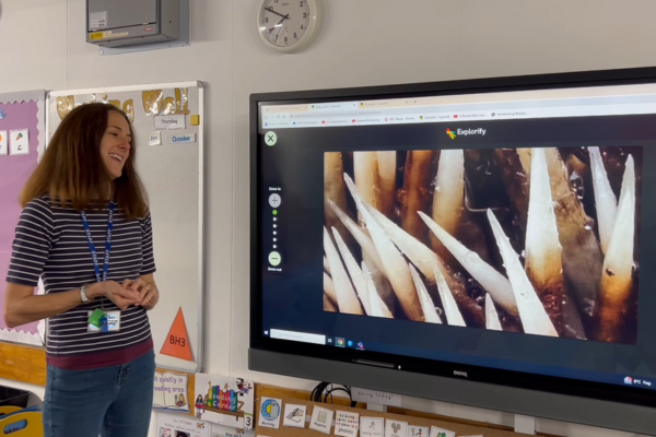 Video image