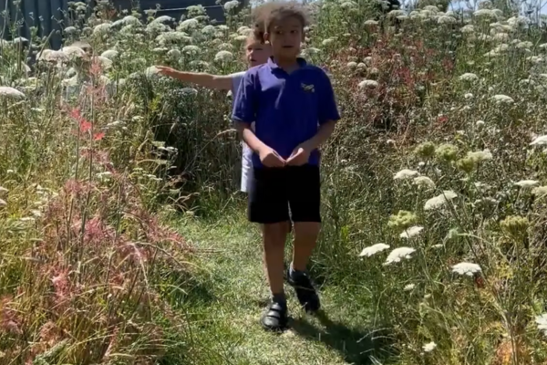 Video image