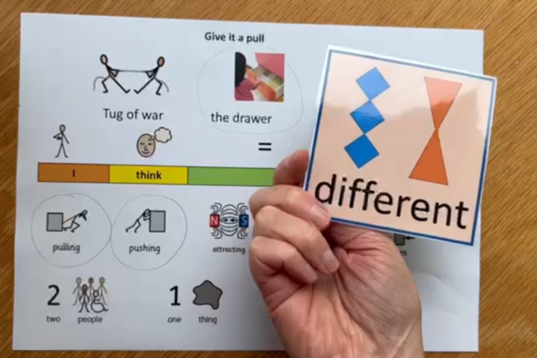 Video image