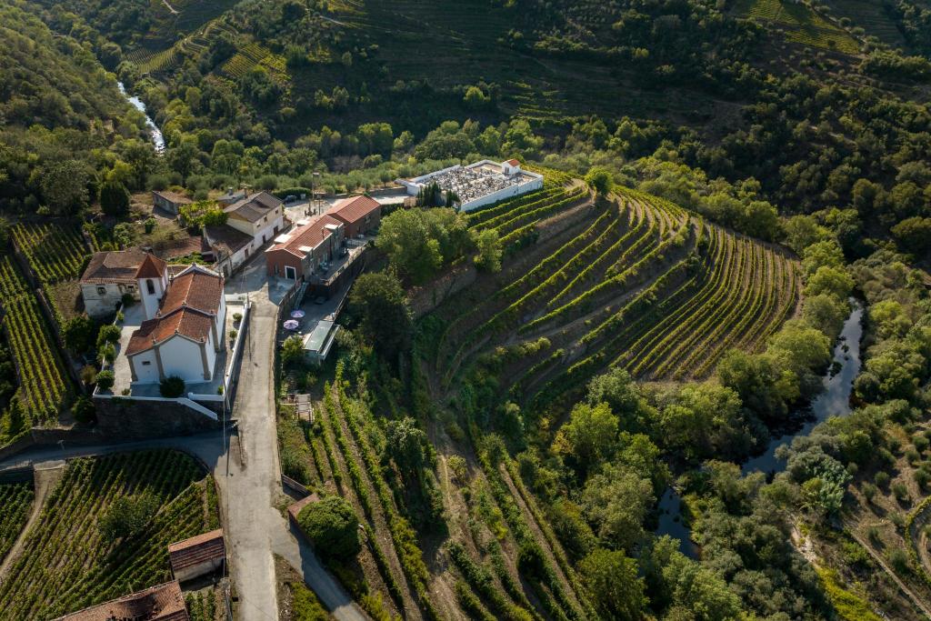 Riverside Retreat in Douro, Portugal