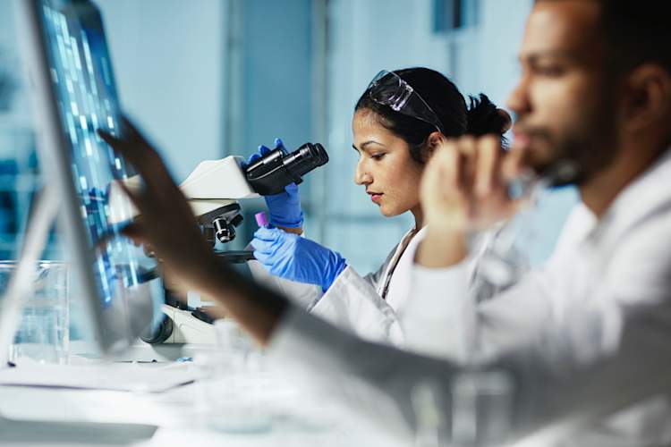 lab work