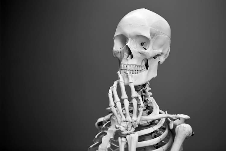 human skeleton posed in thinking position