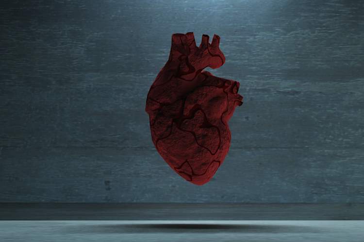 human heart