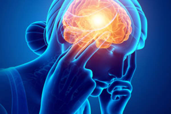 rendering of a female brain