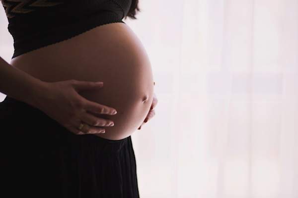 pregnant stomach