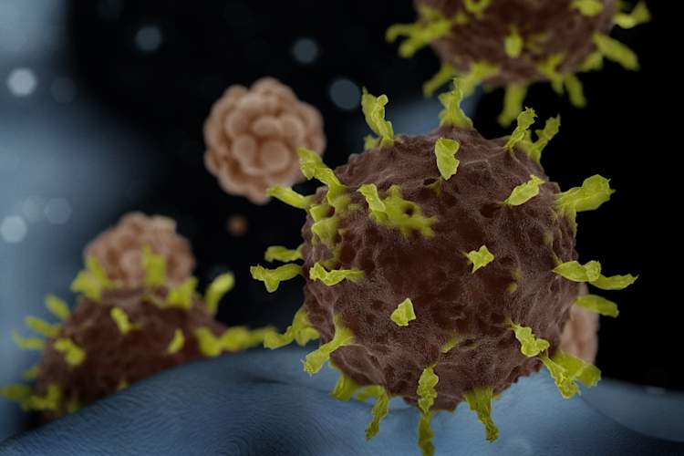 coronavirus model