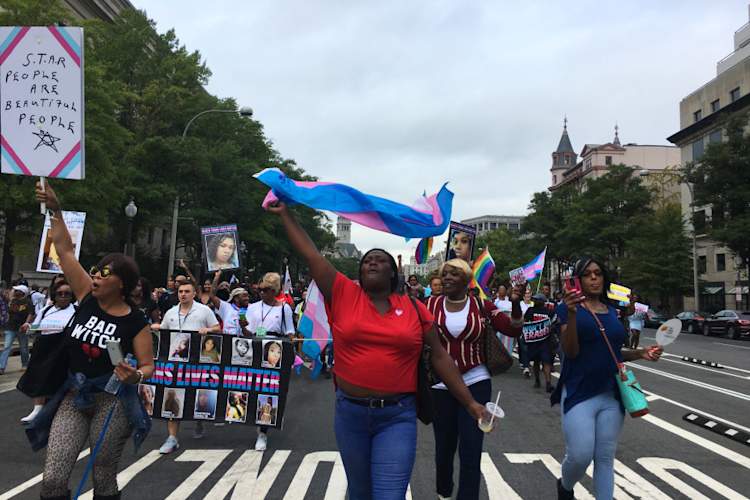 Activists Lead Trans March for Visibility in DC credit Stephen Hicks