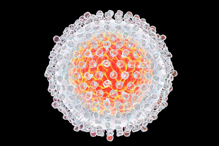 Hep C virus
