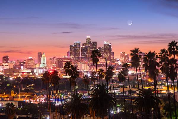 sunset through the palm trees, Los Angeles, California