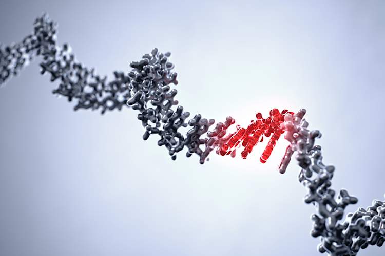 Visualization of change of a triplet in the single-stranded RNA helix of a virus as happened in the COVID-19 coronavirus SARS-CoV-2