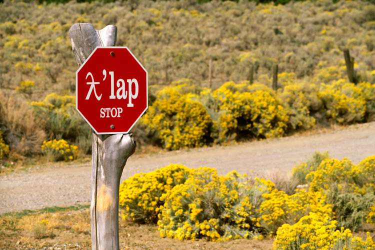 First Nations Bilingual stop sign in Canada