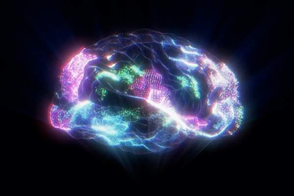 brain hologram