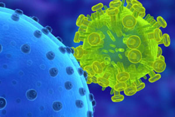 illustration of HIV attaching to a CD4 cell