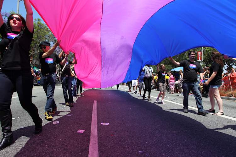 People marching with anBi, a bisexual organization, carry a bisexual flag in the 43rd L.A. Pride Parade on June 9, 2013 in West Hollywood, California.