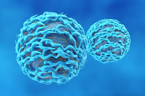 T-cell