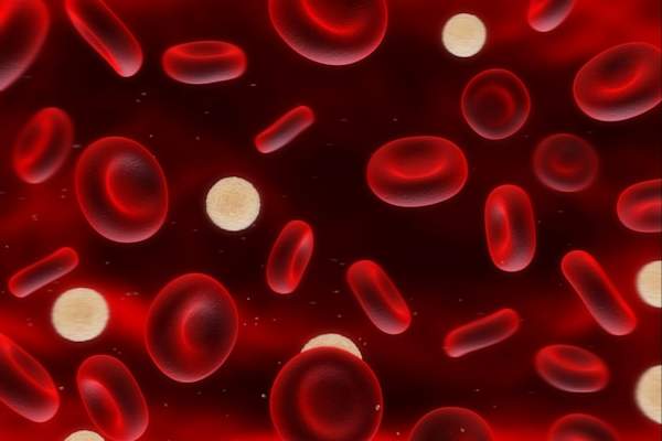 illustration of red and white blood cells