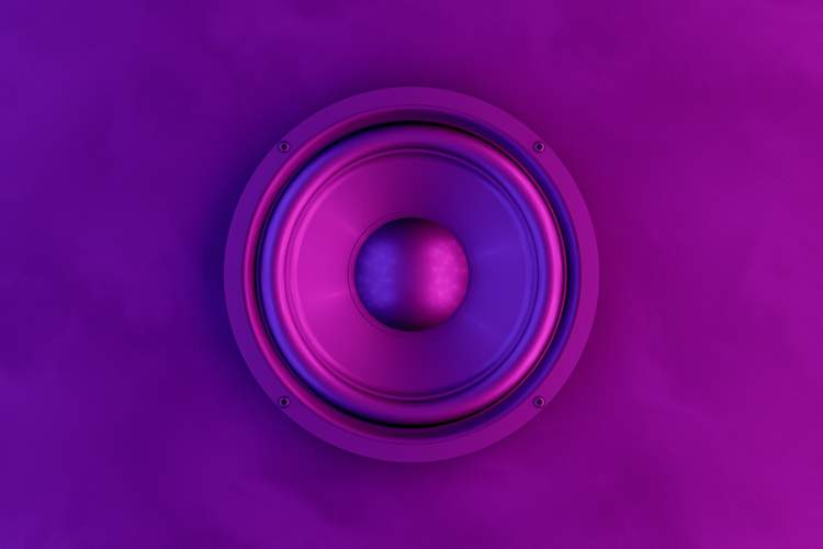 audio speaker