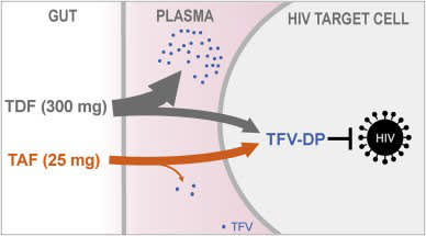 Descovy HIV