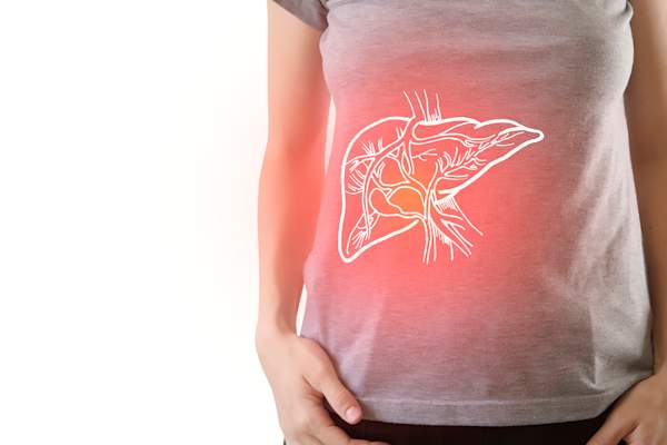 liver