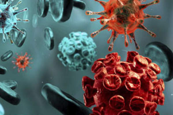 Blood cells and viruses