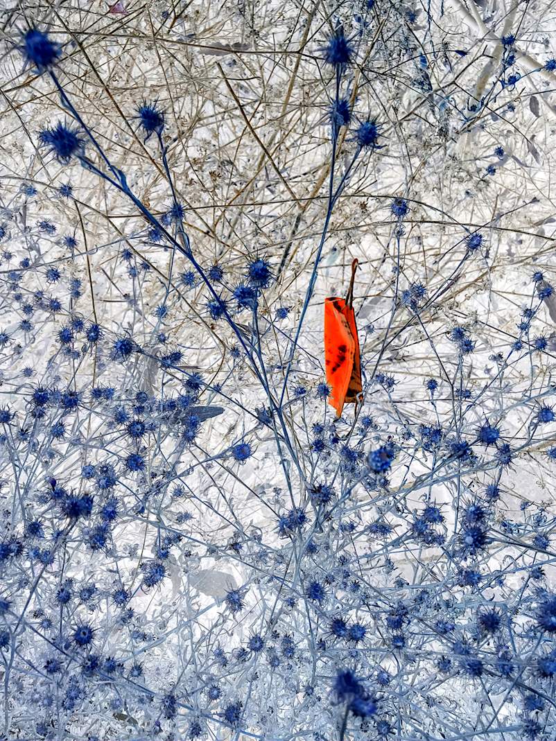 Hebert Untitled from the Lingering series 1 2020