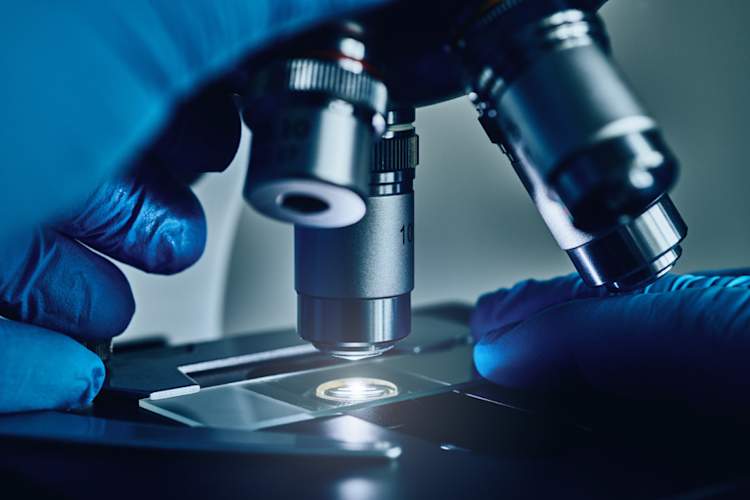 gloved hands on a microscope