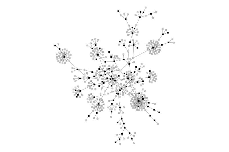 Sexual network