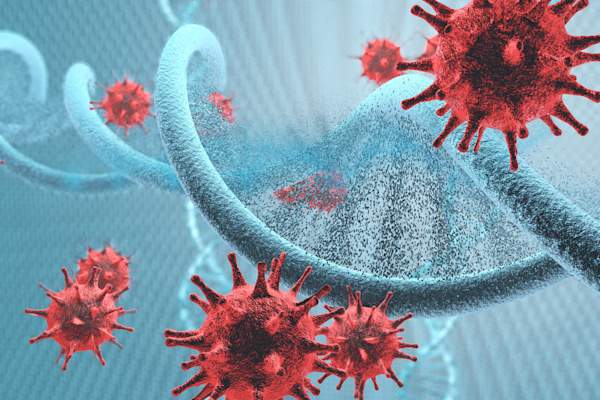 virus and DNA
