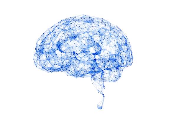 brain function