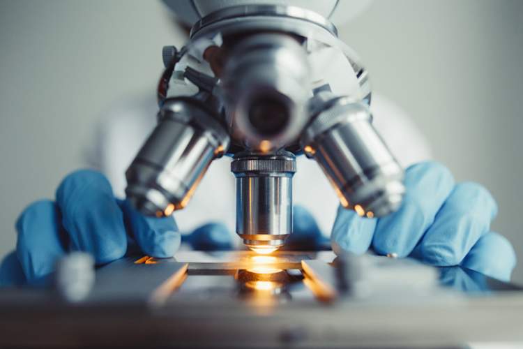 Close up of doctor examining of test sample under the microscope