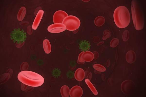 virus in blood stream