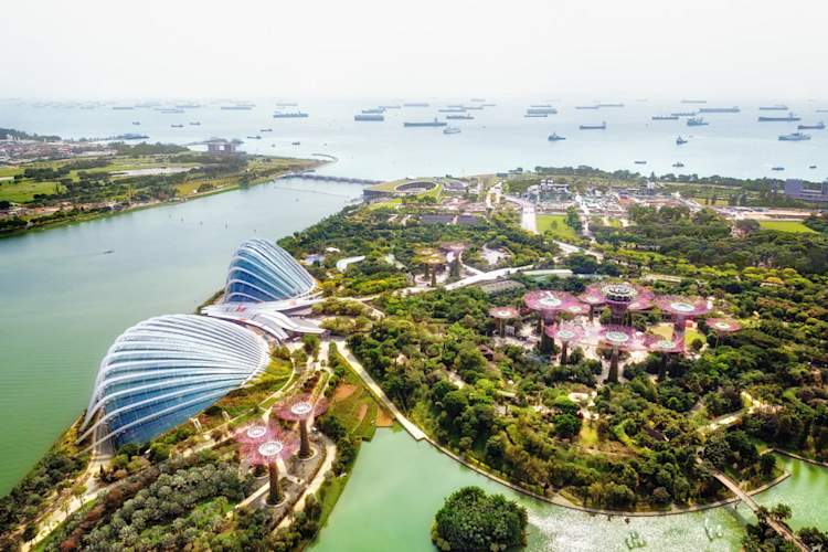 Cityscape of Singapore city, aerial view to Supertree Grove, Cloud Forest and Flower Dome in Gardens by the bay during the day