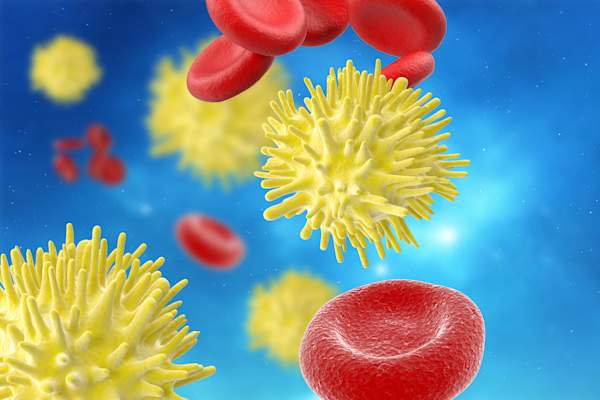Hep C virus