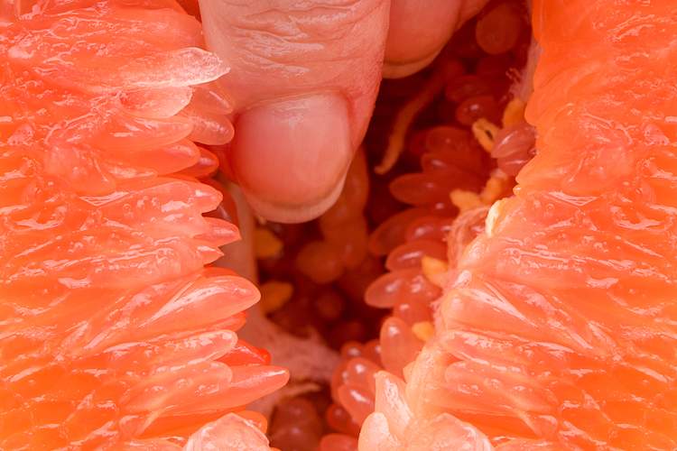 touching grapefruit