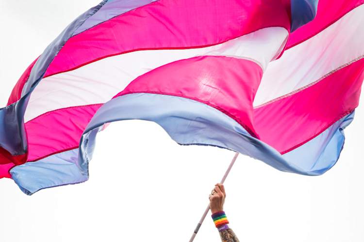 A man waves transgender pride flag during Brighton Pride Parade on August 03, 2019