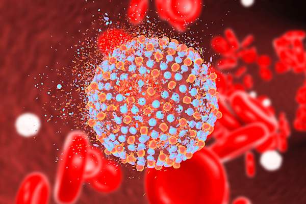 destroying Hep C