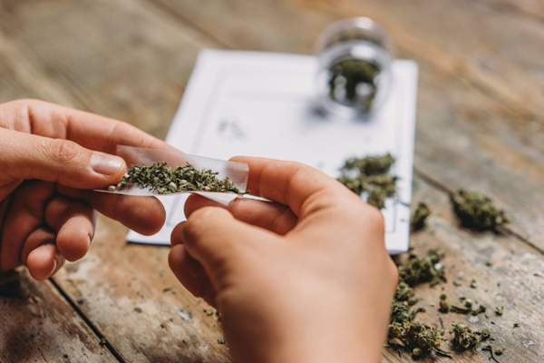 hands rolling cannabis joint