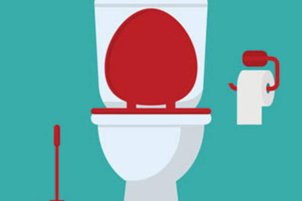 The Bathroom