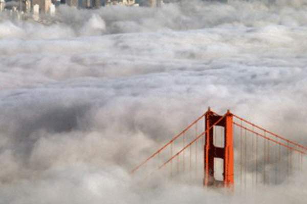 fogcityjohn