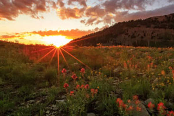 A New Day, A Remarkable Opportunity