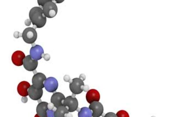 The Rise of the Integrase Inhibitor