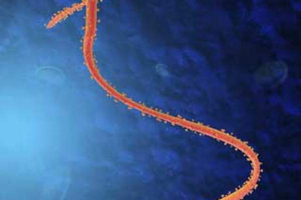 HIV Researchers Weigh In on Ebola Outbreak