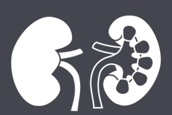 How Are Your Kidneys Getting On?