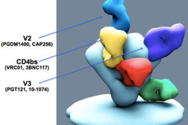 Broadly Neutralizing Antibodies for HIV Prevention