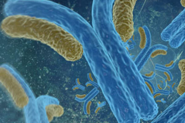 Broadly Neutralizing Antibodies for Curing Chronic HIV Infection